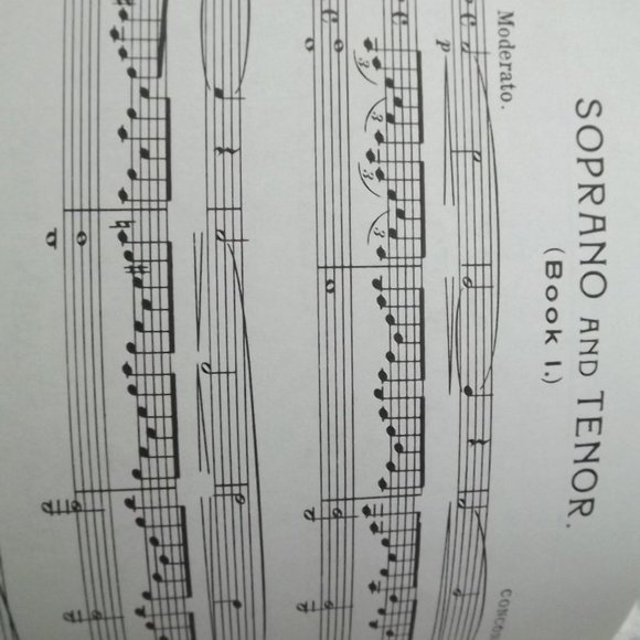Local Examinations in Singing, Grade VI and VIII - Picture 3 of 4